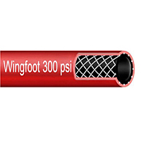 Red Wingfoot